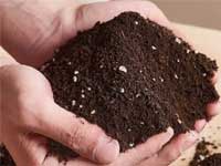 臭氧在農(nóng)業(yè)種植（土壤基質(zhì)、營養(yǎng)液、種子、棚內(nèi)秧苗）中的應用