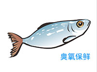 臭氧在水產(chǎn)品保鮮中的應(yīng)用