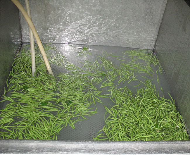 臭氧水消毒設備