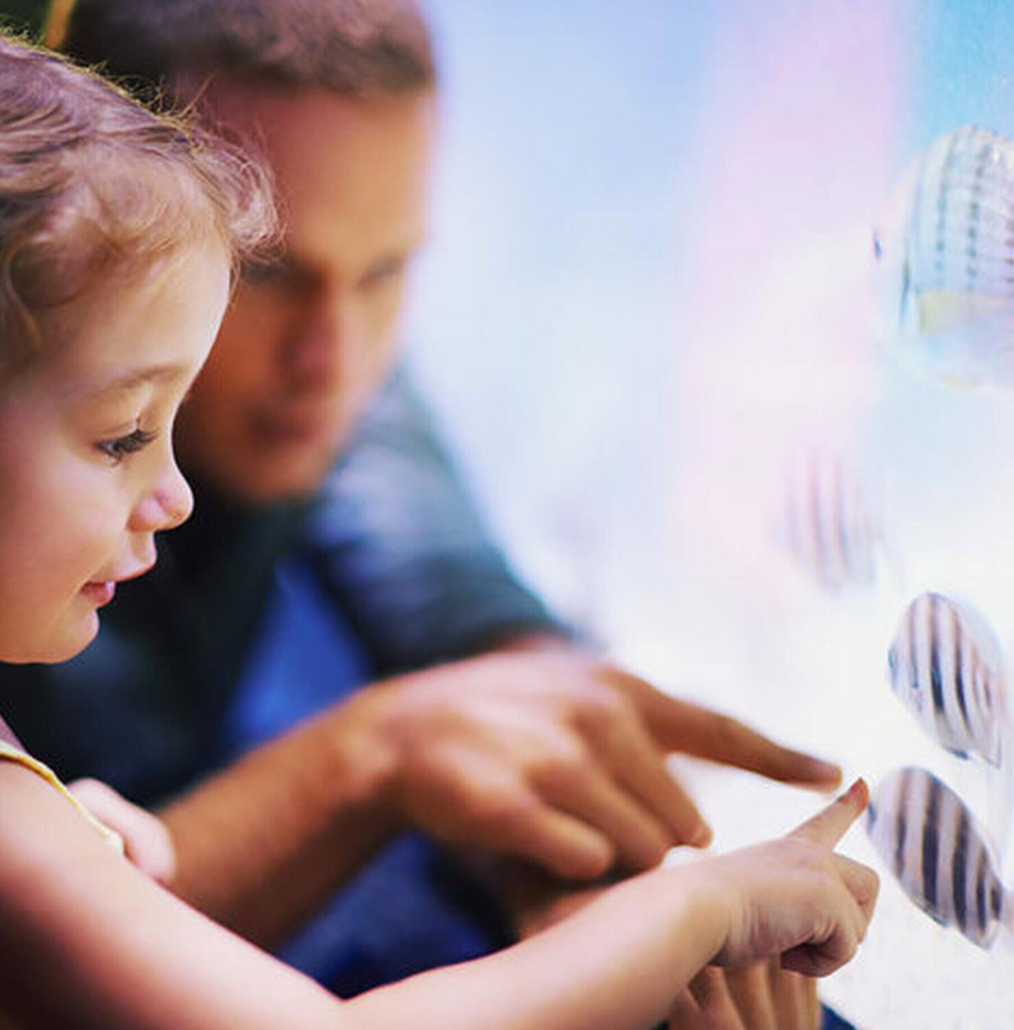 水產養(yǎng)殖和動物園中的臭氧