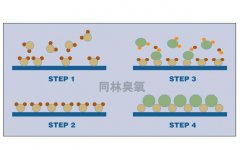 臭氧作為氧化前體在ALD加工中的應(yīng)用