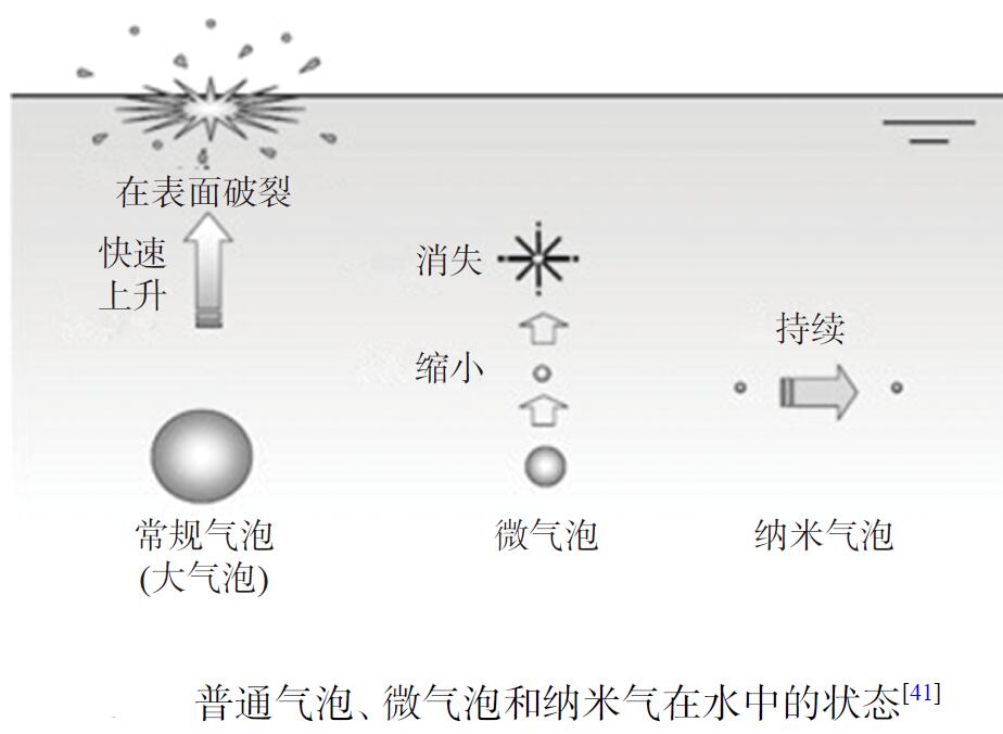 臭氧水去除農(nóng)殘殘留效果有哪些影響因素