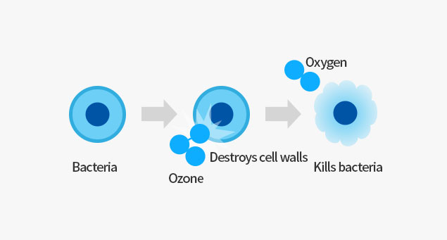 探索低濃度氣態(tài)臭氧對多重耐藥細(xì)菌的殺菌潛力